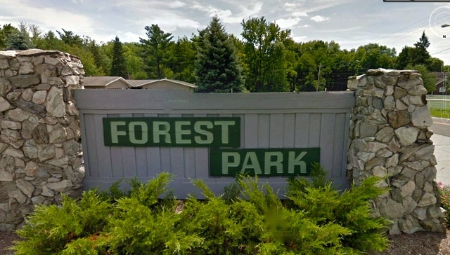 Forest Park strongsville ohio realtor